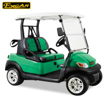 48V Trojan Battery 2 Person Electric Golf Cart With Double Color Seat